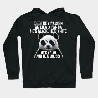 Destroy Racism Hoodie